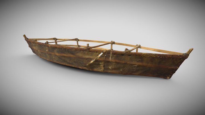 Half Skinned Boat